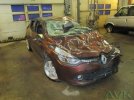clio avk.jpg