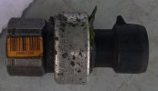 safps_3.jpg