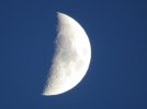 IMG_8471.jpg