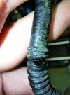 img20200828_235336.jpg